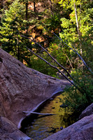 Canyon Pool