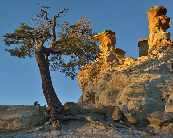 Pulpit Rock Hoodoos