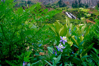 Yankee Boy Basin